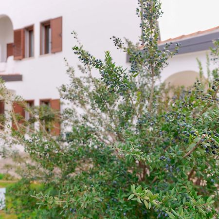 Villa Wunjo Iun R3267 La Maddalena  Eksteriør bilde