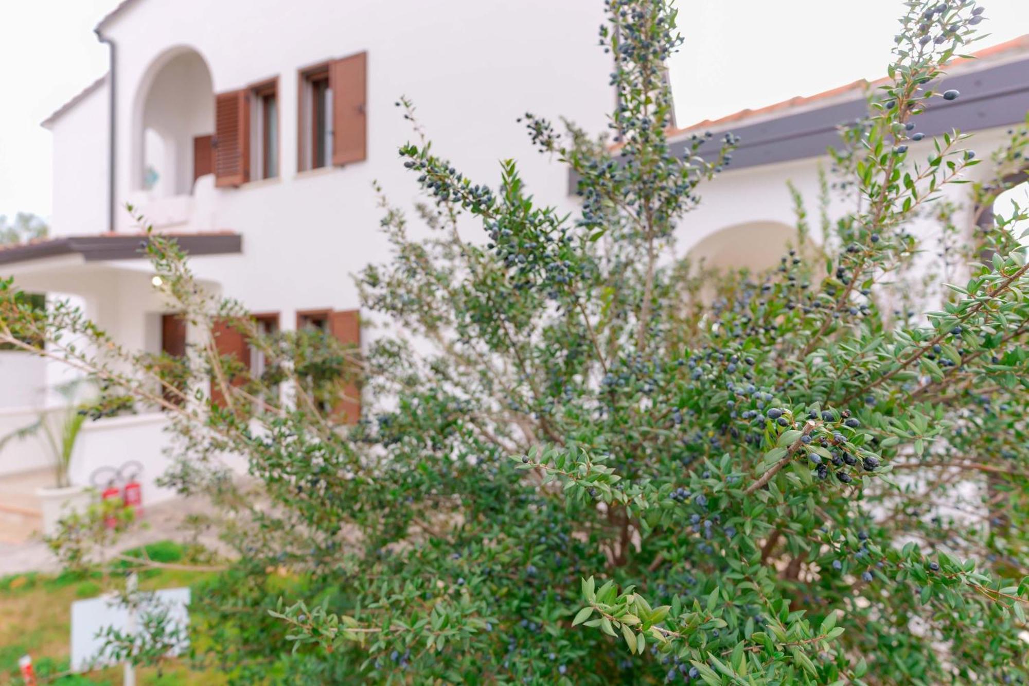 Villa Wunjo Iun R3267 La Maddalena  Eksteriør bilde